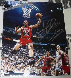 Dennis Rodman Signed 16x20 Photo PSA/DNA NBA Bulls Basketball Picture Autograph