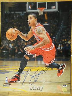 Derrick Rose Psa/dna Signed 16x20 Photo Mint Autograph, Chicago Bulls, Mvp