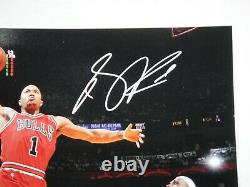 Derrick Rose Psa/dna Signed 16x20 Photograph Autograph Chicago Bulls Mvp Lebron