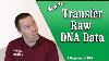 How To Transfer Raw Dna Data To Other Sites A Segment Of Dna