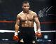 Mike Tyson Certified Authentic Autographed Signed 16x20 Photo Psa/dna 83629