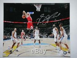 Derrick Rose Psa / Certifié Adn Signé 16x20 Photograph Autograph Chicago Bulls