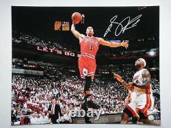 Derrick Rose Psa/dna Signé 16x20 Photographe Autographe Chicago Bulls Mvp Lebron